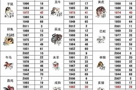 82年屬什麼|82年属什么生肖 1982年与什么生肖合作最佳